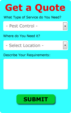 Pest Control Quotes