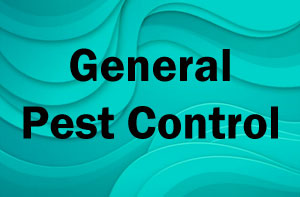 General Pest Control Tyldesley