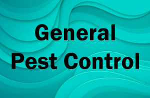 General Pest Control Killamarsh