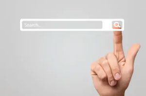 Search Engine Results Rat Pest Control Bonnyrigg (Dialling code 0131) Search Engine Results Rat Pest Control Bonnyrigg (Dialling code 0131)